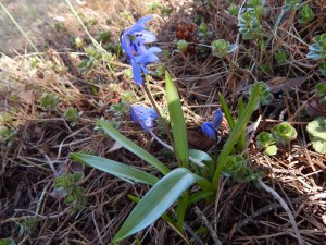 DSCN0770.JPG