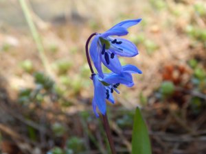 DSCN0771.JPG