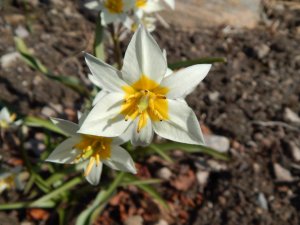 DSCN0726.JPG