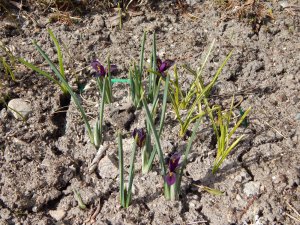 DSCN0618.JPG