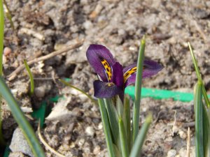 DSCN0619.JPG