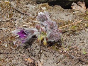 DSCN0613.JPG