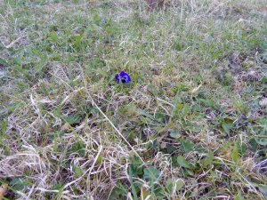 DSCN0857.JPG