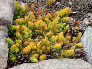 DSCN0570.JPG
