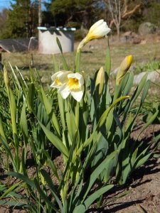 DSCN0794.JPG