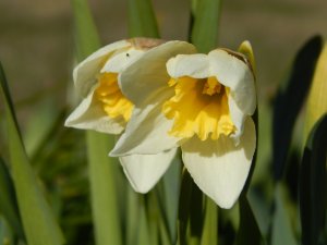 DSCN0795.JPG