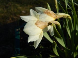 DSCN0810.JPG
