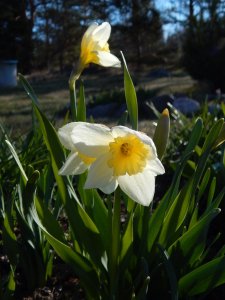 DSCN0811.JPG