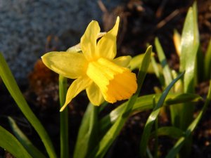 DSCN0814.JPG