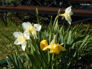DSCN0847.JPG