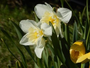 DSCN0848.JPG