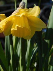 DSCN0849.JPG