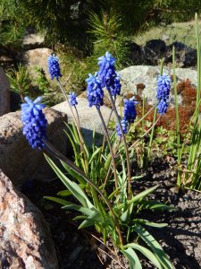 DSCN0871.JPG