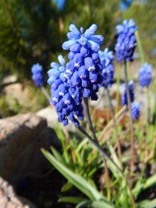 DSCN0873.JPG