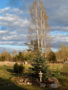 DSCN0852.JPG