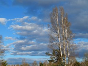 DSCN0853.JPG