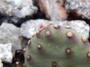 DSCN0900.JPG