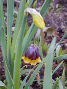 DSCN0956.JPG