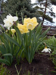 DSCN0915.JPG