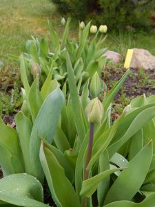 DSCN0919.JPG