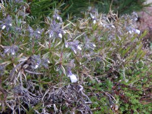 DSCN0890.JPG