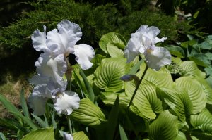 DSC06200.JPG