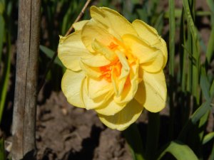 DSCN1031.JPG