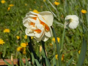 DSCN1032.JPG