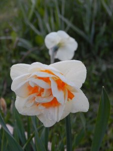 DSCN1087.JPG