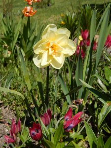 DSCN1124.JPG