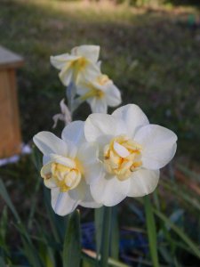 DSCN1219.JPG