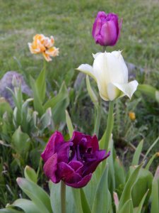 DSCN1095.JPG