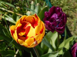 DSCN1120.JPG