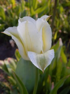 DSCN1221.JPG