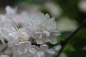 IMG_7992.JPG