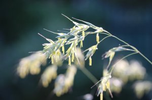 IMG_8859.JPG