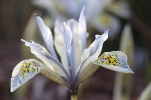 IMG_3934.JPG
