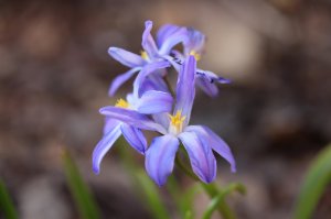 IMG_4118.JPG