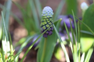 IMG_4790.JPG