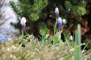 IMG_5563.JPG