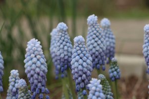 IMG_5671.JPG