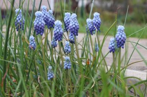 IMG_5663.JPG