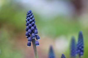IMG_5878.JPG