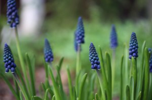 IMG_5873.JPG