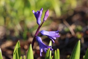 IMG_5410.JPG