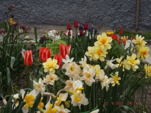 2020.06.12 Уч № 1 _ DSCF7723.JPG