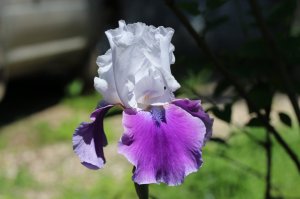 IMG_0084.JPG