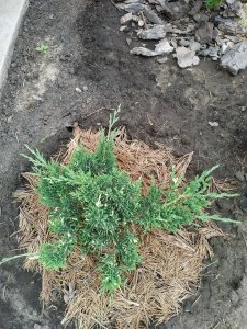 IMG_20200621_102219.jpg
