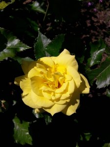 20200623_133955.jpg