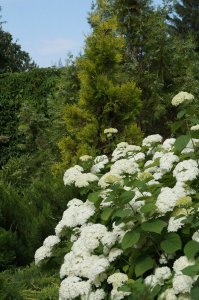 DSC07110.JPG